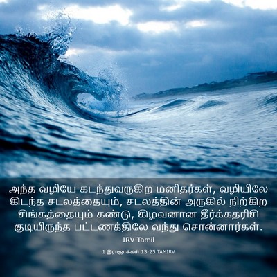 Picture 03 - 1 இராஜாக்கள் 13:25 TAMIRV - அந்த வழியே - Bible Verse Picture