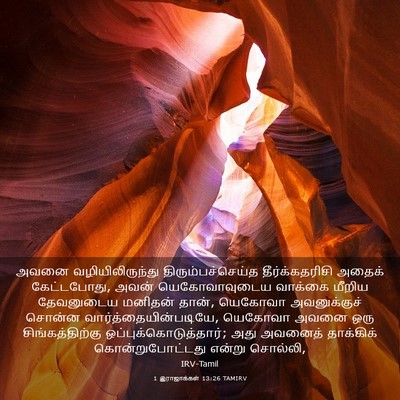 Picture 03 - 1 இராஜாக்கள் 13:26 TAMIRV - அவனை - Bible Verse Picture