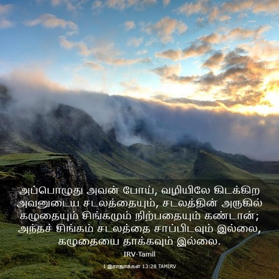 Picture 03 - 1 இராஜாக்கள் 13:28 TAMIRV - அப்பொழுது அவன் - Bible Verse Picture