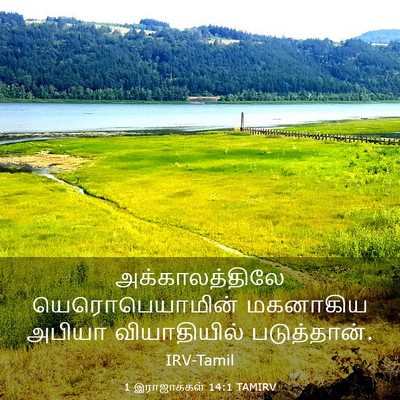 Picture 03 - 1 இராஜாக்கள் 14:1 TAMIRV - அக்காலத்திலே - Bible Verse Picture