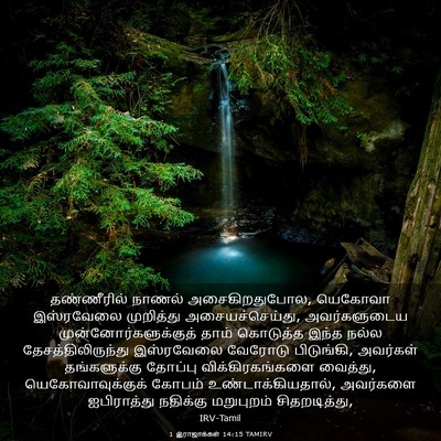 Picture 03 - 1 இராஜாக்கள் 14:15 TAMIRV - தண்ணீரில் நாணல் - Bible Verse Picture