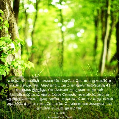 Picture 03 - 1 இராஜாக்கள் 14:21 TAMIRV - சாலொமோனின் - Bible Verse Picture