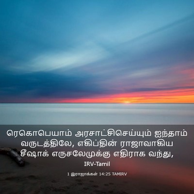 Picture 03 - 1 இராஜாக்கள் 14:25 TAMIRV - ரெகொபெயாம் - Bible Verse Picture