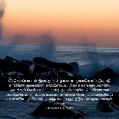 Picture 03 - 1 இராஜாக்கள் 14:31 TAMIRV - ரெகொபெயாம் இறந்து - Bible Verse Picture