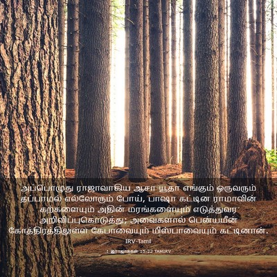 Picture 03 - 1 இராஜாக்கள் 15:22 TAMIRV - அப்பொழுது - Bible Verse Picture