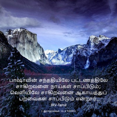 Picture 03 - 1 இராஜாக்கள் 16:4 TAMIRV - பாஷாவின் - Bible Verse Picture