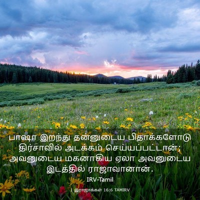 Picture 03 - 1 இராஜாக்கள் 16:6 TAMIRV - பாஷா இறந்து - Bible Verse Picture