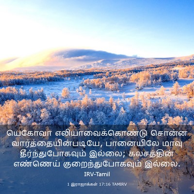 Picture 03 - 1 இராஜாக்கள் 17:16 TAMIRV - யெகோவா - Bible Verse Picture