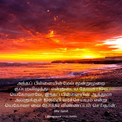 Picture 03 - 1 இராஜாக்கள் 17:21 TAMIRV - அந்தப் - Bible Verse Picture