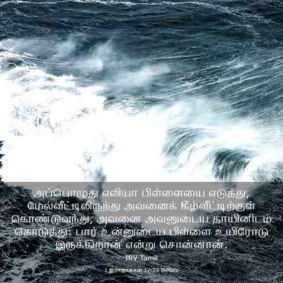 Picture 03 - 1 இராஜாக்கள் 17:23 TAMIRV - அப்பொழுது எலியா - Bible Verse Picture