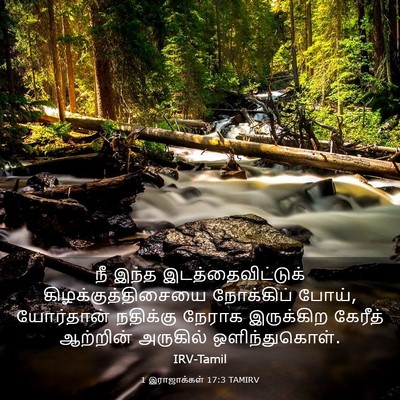 Picture 03 - 1 இராஜாக்கள் 17:3 TAMIRV - நீ இந்த - Bible Verse Picture
