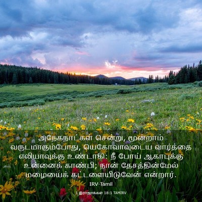 Picture 03 - 1 இராஜாக்கள் 18:1 TAMIRV - அநேகநாட்கள் - Bible Verse Picture