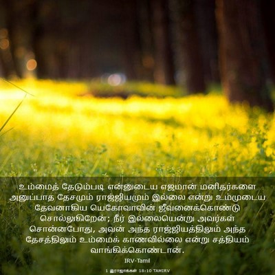 Picture 03 - 1 இராஜாக்கள் 18:10 TAMIRV - உம்மைத் தேடும்படி - Bible Verse Picture