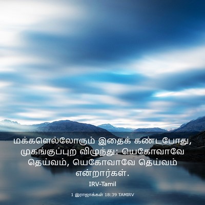 Picture 03 - 1 இராஜாக்கள் 18:39 TAMIRV - மக்களெல்லோரும் - Bible Verse Picture