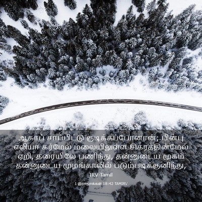 Picture 03 - 1 இராஜாக்கள் 18:42 TAMIRV - ஆகாப் சாப்பிட்டு - Bible Verse Picture