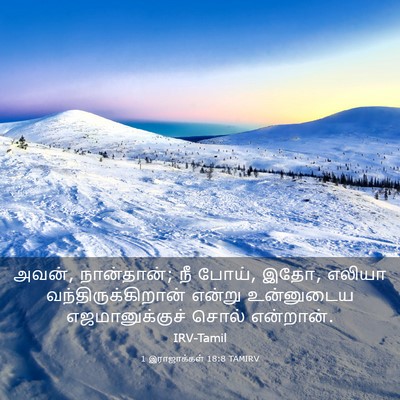 Picture 03 - 1 இராஜாக்கள் 18:8 TAMIRV - அவன், நான்தான்; நீ - Bible Verse Picture