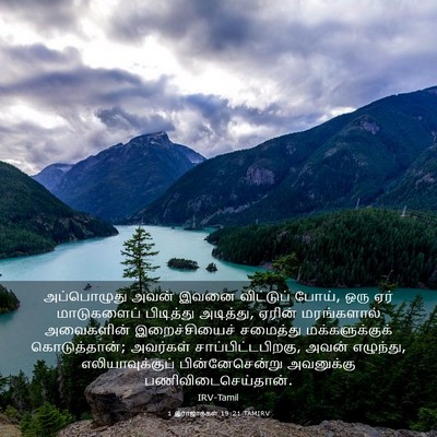 Picture 03 - 1 இராஜாக்கள் 19:21 TAMIRV - அப்பொழுது அவன் - Bible Verse Picture