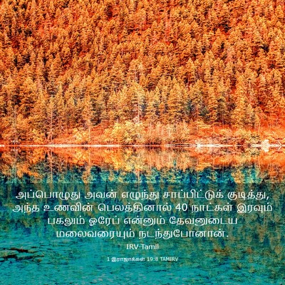 Picture 03 - 1 இராஜாக்கள் 19:8 TAMIRV - அப்பொழுது அவன் - Bible Verse Picture