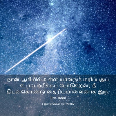 Picture 03 - 1 இராஜாக்கள் 2:2 TAMIRV - நான் பூமியில் - Bible Verse Picture