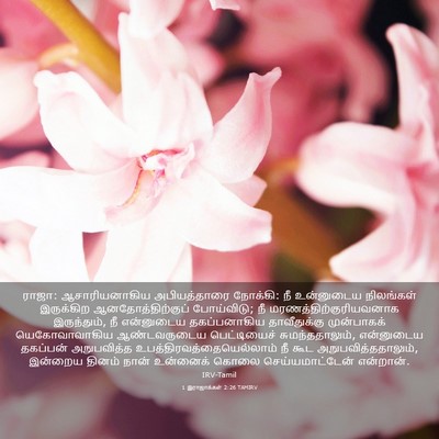 Picture 03 - 1 இராஜாக்கள் 2:26 TAMIRV - ராஜா: ஆசாரியனாகிய - Bible Verse Picture