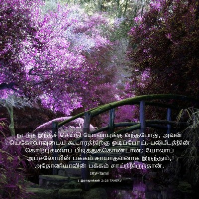 Picture 03 - 1 இராஜாக்கள் 2:28 TAMIRV - நடந்த இந்தச் - Bible Verse Picture