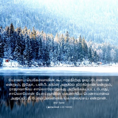 Picture 03 - 1 இராஜாக்கள் 2:29 TAMIRV - யோவாப் யெகோவாவின் - Bible Verse Picture
