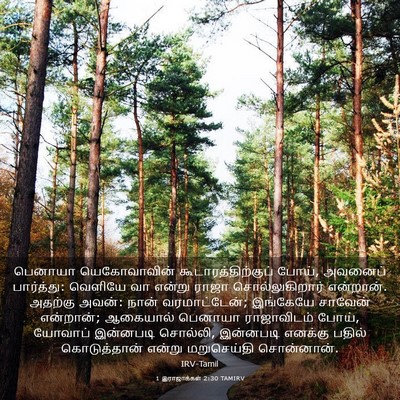 Picture 03 - 1 இராஜாக்கள் 2:30 TAMIRV - பெனாயா யெகோவாவின் - Bible Verse Picture