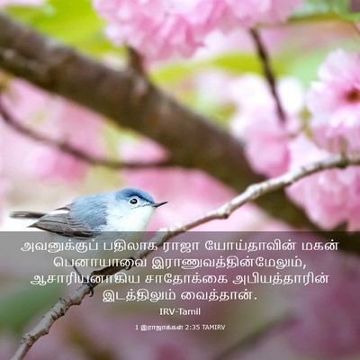 Picture 03 - 1 இராஜாக்கள் 2:35 TAMIRV - அவனுக்குப் பதிலாக - Bible Verse Picture