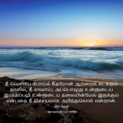 Picture 03 - 1 இராஜாக்கள் 2:37 TAMIRV - நீ வெளியே போய்க் - Bible Verse Picture
