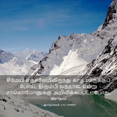 Picture 03 - 1 இராஜாக்கள் 2:41 TAMIRV - சீமேயி - Bible Verse Picture