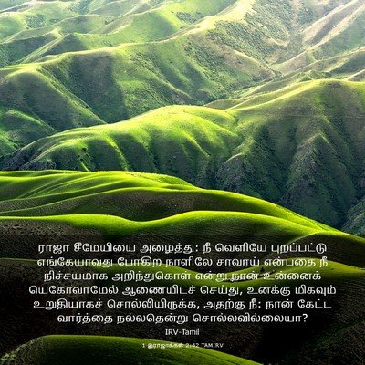 Picture 03 - 1 இராஜாக்கள் 2:42 TAMIRV - ராஜா சீமேயியை - Bible Verse Picture