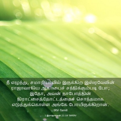 Picture 03 - 1 இராஜாக்கள் 21:18 TAMIRV - நீ எழுந்து, - Bible Verse Picture