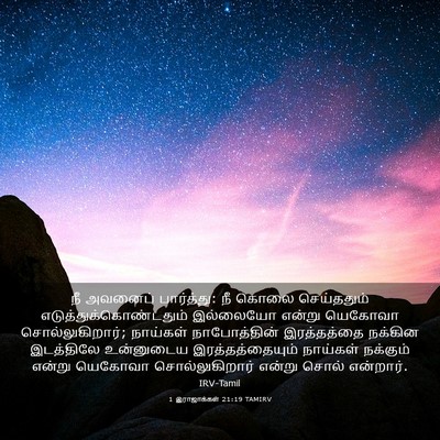 Picture 03 - 1 இராஜாக்கள் 21:19 TAMIRV - நீ அவனைப் - Bible Verse Picture