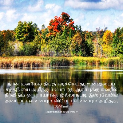 Picture 03 - 1 இராஜாக்கள் 21:21 TAMIRV - நான் உன்மேல் - Bible Verse Picture