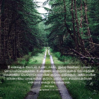 Picture 03 - 1 இராஜாக்கள் 21:22 TAMIRV - நீ எனக்குக் கோபம் - Bible Verse Picture