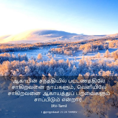 Picture 03 - 1 இராஜாக்கள் 21:24 TAMIRV - ஆகாபின் - Bible Verse Picture