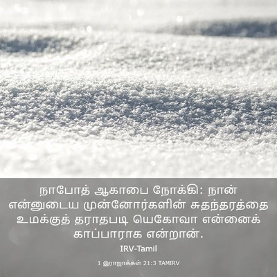 Picture 03 - 1 இராஜாக்கள் 21:3 TAMIRV - நாபோத் ஆகாபை - Bible Verse Picture