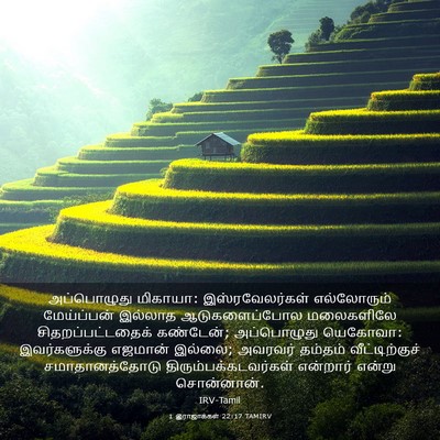 Picture 03 - 1 இராஜாக்கள் 22:17 TAMIRV - அப்பொழுது மிகாயா: - Bible Verse Picture