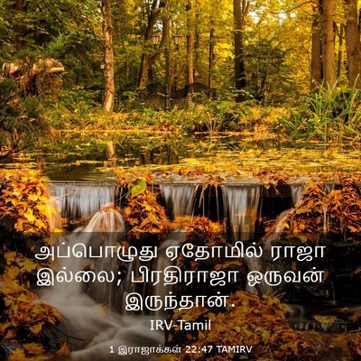Picture 03 - 1 இராஜாக்கள் 22:47 TAMIRV - அப்பொழுது ஏதோமில் - Bible Verse Picture