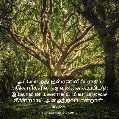 Picture 03 - 1 இராஜாக்கள் 22:9 TAMIRV - அப்பொழுது - Bible Verse Picture