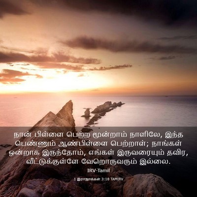 Picture 03 - 1 இராஜாக்கள் 3:18 TAMIRV - நான் பிள்ளை பெற்ற - Bible Verse Picture