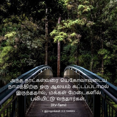Picture 03 - 1 இராஜாக்கள் 3:2 TAMIRV - அந்த நாட்கள்வரை - Bible Verse Picture