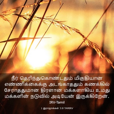 Picture 03 - 1 இராஜாக்கள் 3:8 TAMIRV - நீர் - Bible Verse Picture