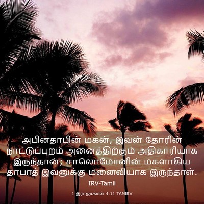 Picture 03 - 1 இராஜாக்கள் 4:11 TAMIRV - அபினதாபின் மகன், - Bible Verse Picture