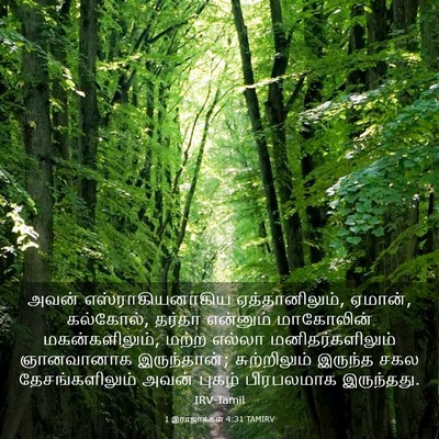 Picture 03 - 1 இராஜாக்கள் 4:31 TAMIRV - அவன் - Bible Verse Picture