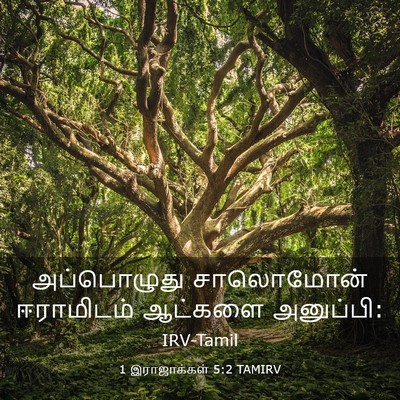 Picture 03 - 1 இராஜாக்கள் 5:2 TAMIRV - அப்பொழுது - Bible Verse Picture