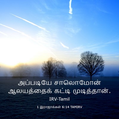 Picture 03 - 1 இராஜாக்கள் 6:14 TAMIRV - அப்படியே சாலொமோன் - Bible Verse Picture