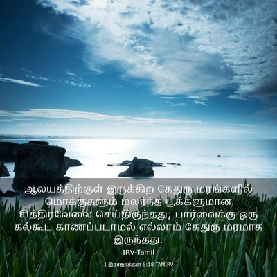 Picture 03 - 1 இராஜாக்கள் 6:18 TAMIRV - ஆலயத்திற்குள் - Bible Verse Picture