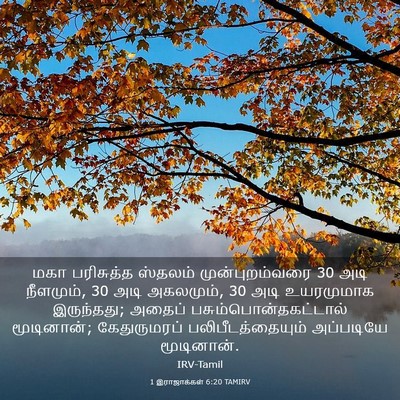Picture 03 - 1 இராஜாக்கள் 6:20 TAMIRV - மகா பரிசுத்த - Bible Verse Picture