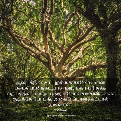 Picture 03 - 1 இராஜாக்கள் 6:21 TAMIRV - ஆலயத்தின் - Bible Verse Picture